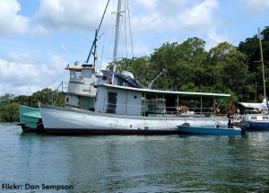 Powerchina: un remedio peor que la enfermedad