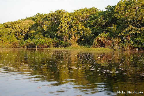 Organizaciones indígenas de todos los países amazónicos demandan diálogo directo con el Gobierno Chino