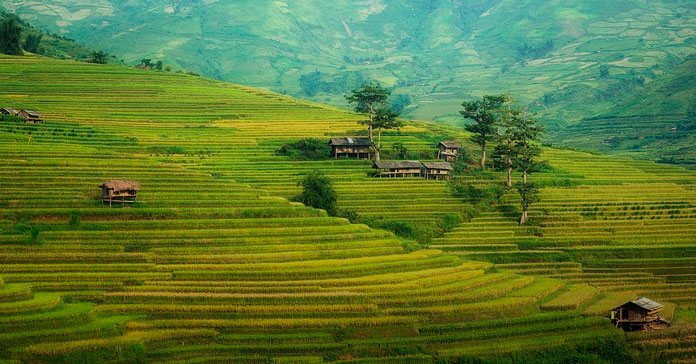 China imparable: proyecta aumentar compra de tierras en el extranjero