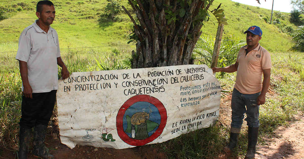 La empresa china sin ‘licencia social’ para sacar petróleo en Colombia