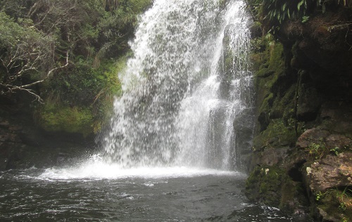 “Desapareció el agua”: Preocupación en Caquetá por falencias en los estudios técnicos de la empresa petrolera Emerald Energy